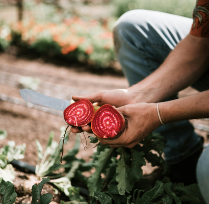 Beetroot